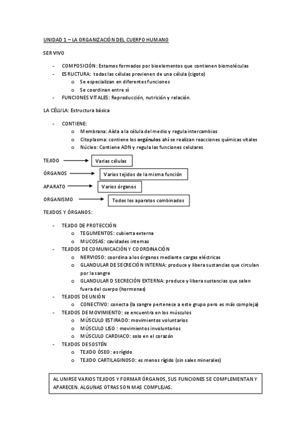 Miniatura del documento UNIDAD-1-byg.pdf
