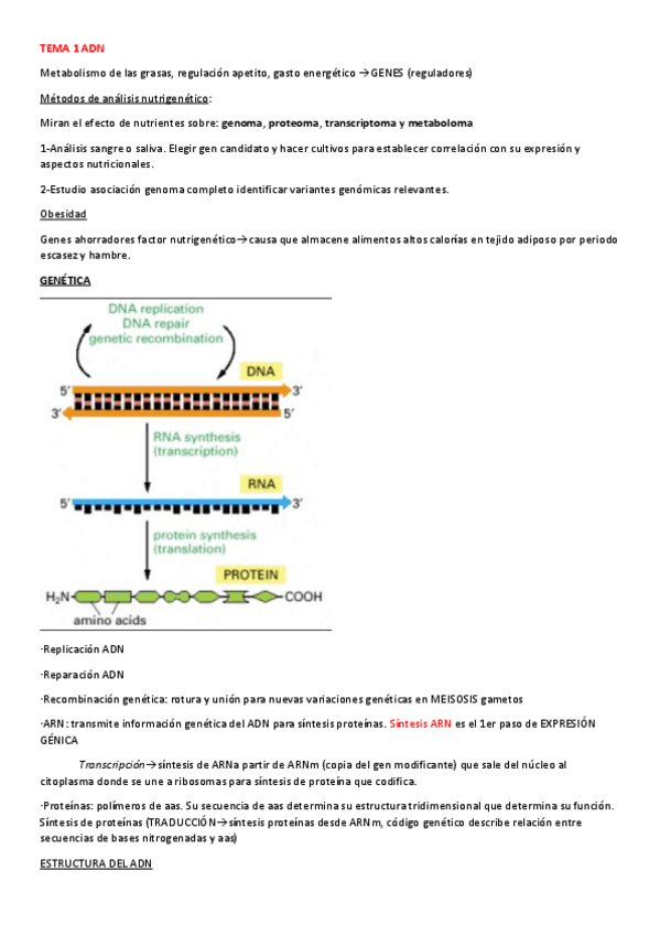 Miniatura del documento Resumennutrigenomica.pdf