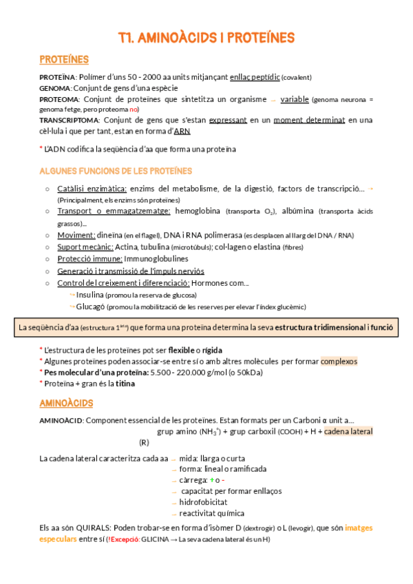 Miniatura del documento T1.pdf