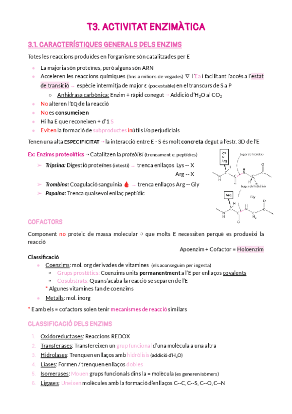 Miniatura del documento T3.pdf