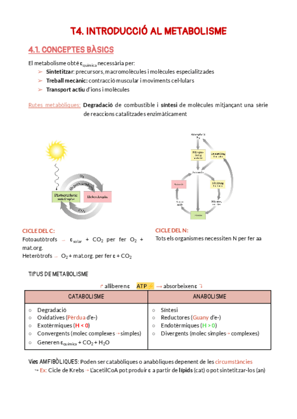 Miniatura del documento T4.pdf