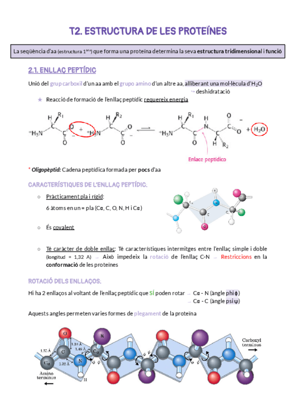 Miniatura del documento T2.pdf