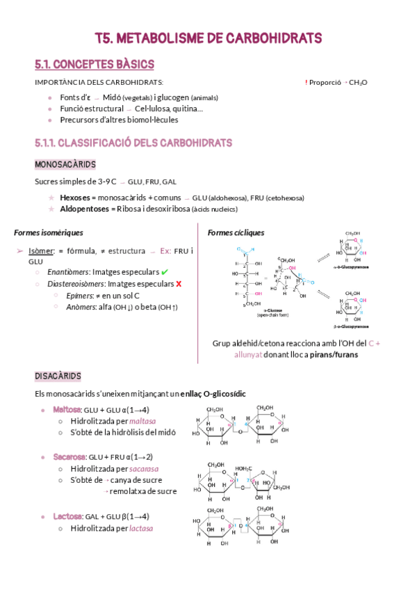 Miniatura del documento T5.pdf