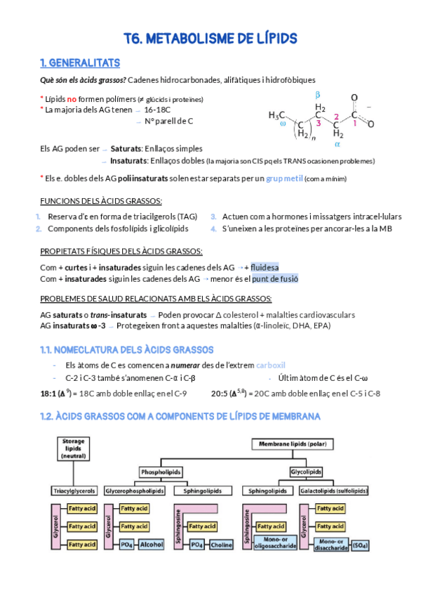 Miniatura del documento T6.pdf