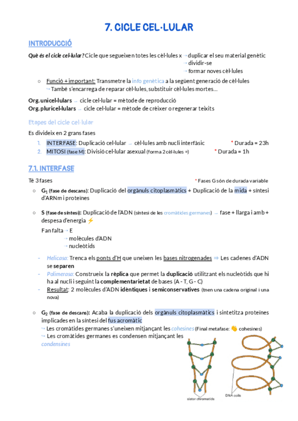Miniatura del documento 7.pdf