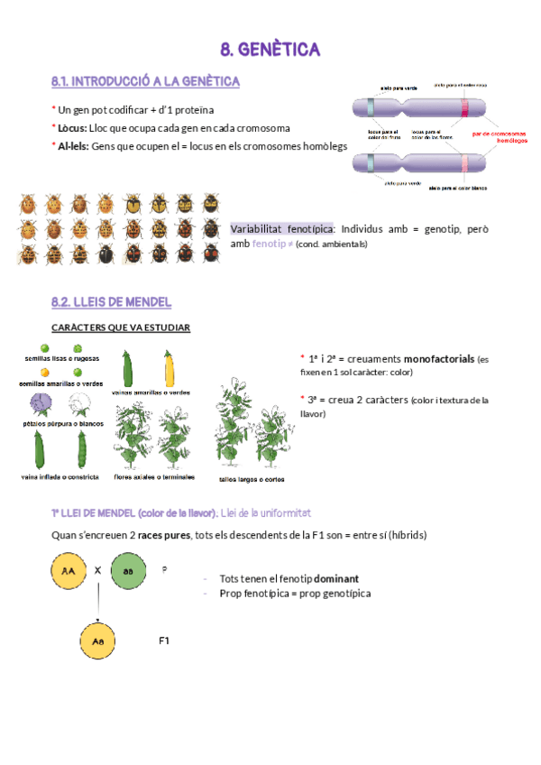 Miniatura del documento 8.pdf