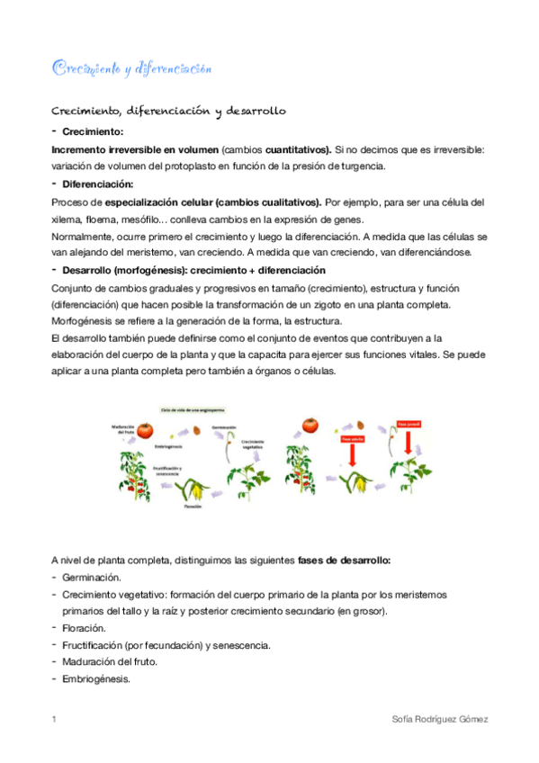 Miniatura del documento 1-Crecimiento-y-diferenciacion.pdf