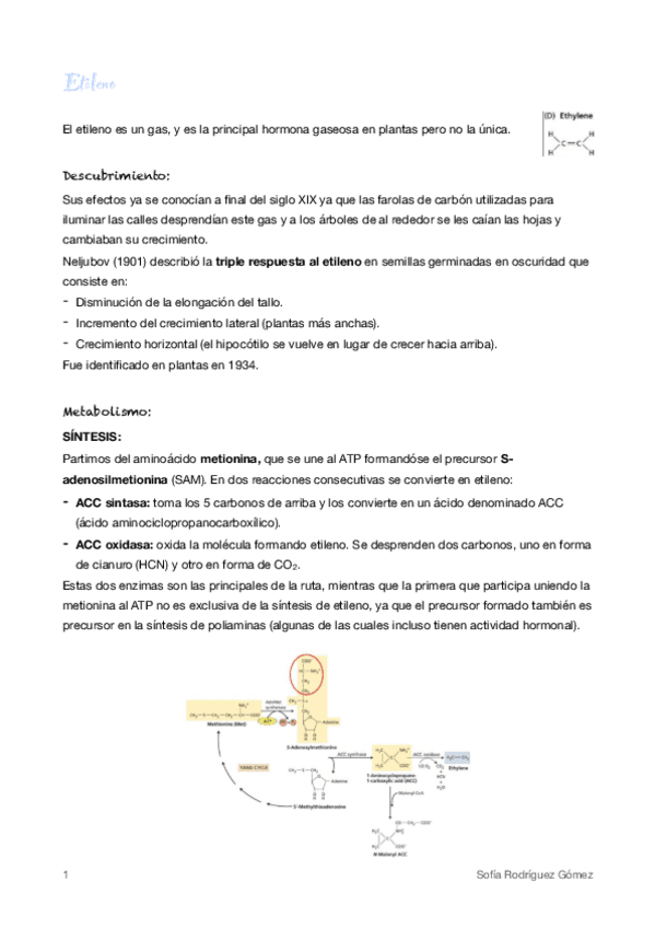 Miniatura del documento 5-Etileno.pdf