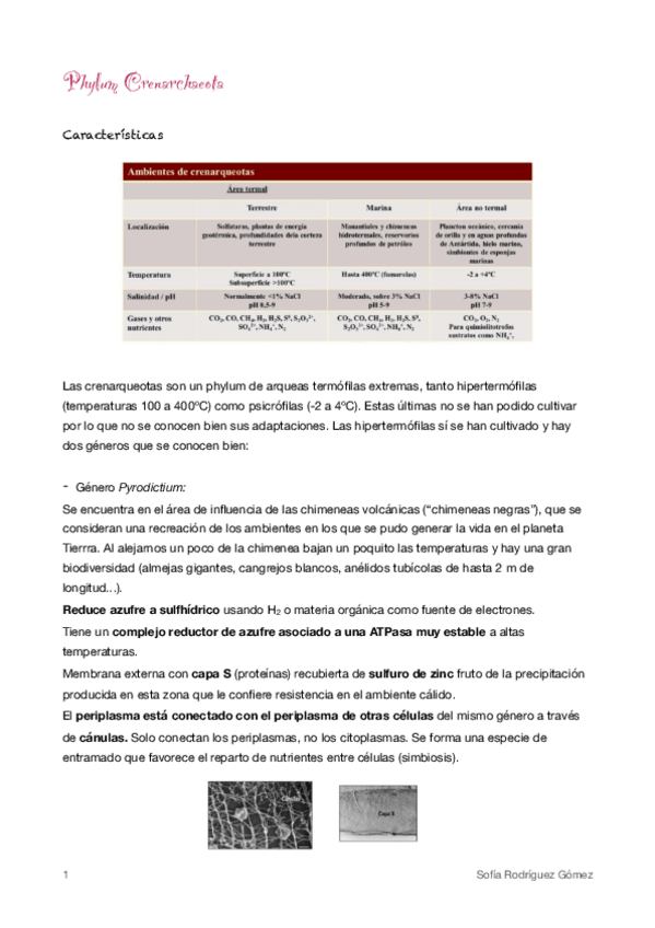 Miniatura del documento 3-Phylum-Crenarchaeota.pdf
