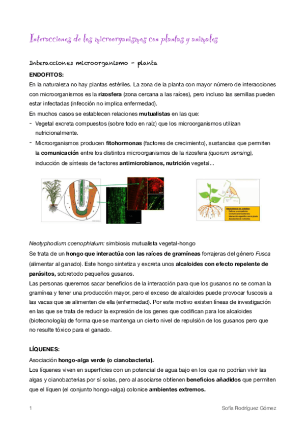 Miniatura del documento 20-Microorganismo-plantas-y-animales.pdf