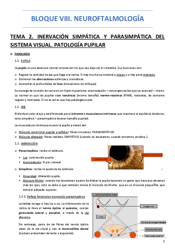 Miniatura del documento BLOQUE-VIII-NEUROFTALMOLOGIA.pdf