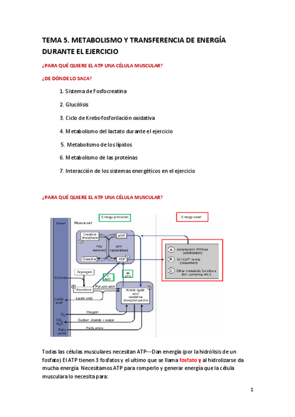 Miniatura del documento TEMA-5.pdf
