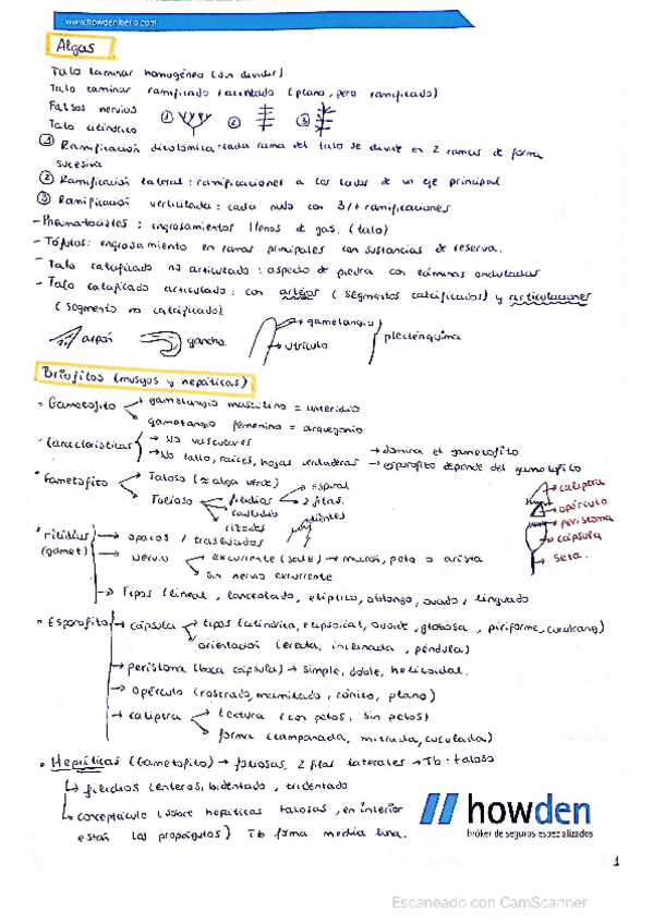 Miniatura del documento CamScanner-02-26-2022-11.pdf