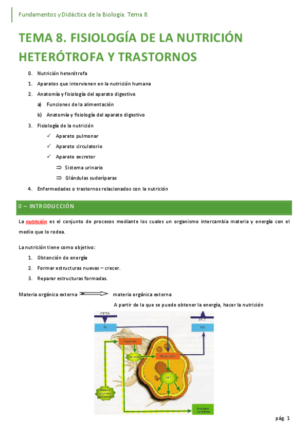 Miniatura del documento 08-nutricion-heterotrofa.pdf