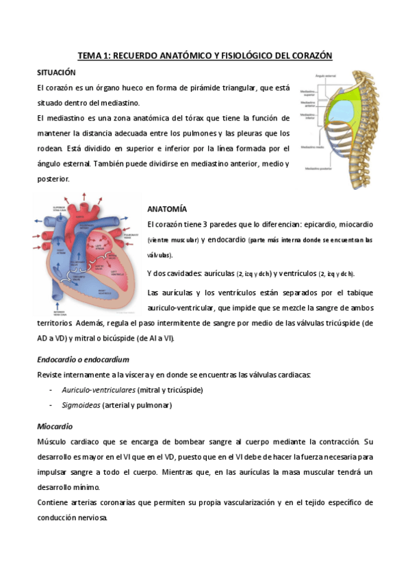 Miniatura del documento Cardio.pdf
