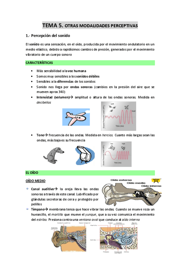 Miniatura del documento TEMA-5-Otras-modalidades-perceptivas.pdf