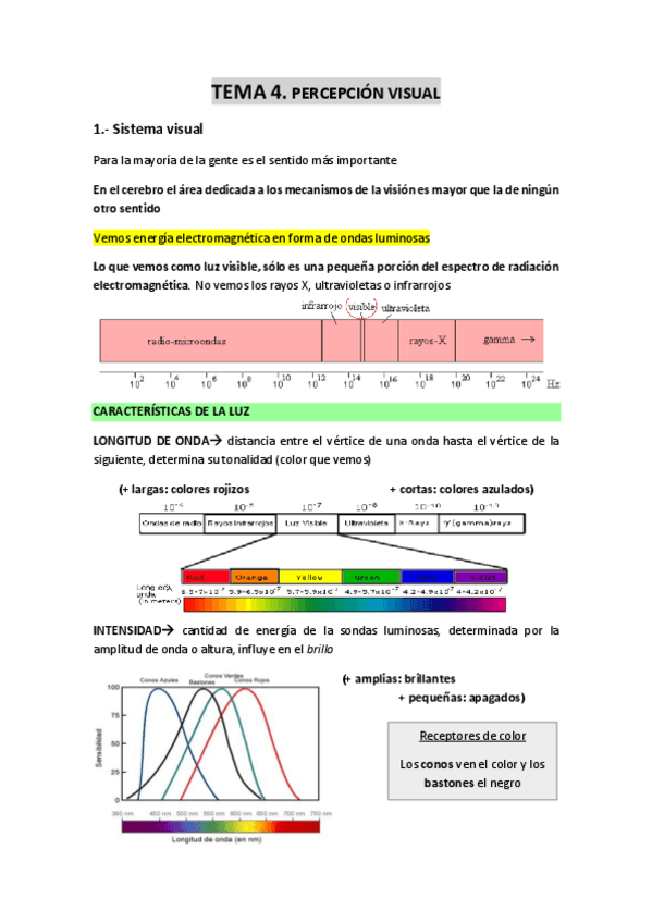 Miniatura del documento TEMA-4-Percepcion-visual.pdf