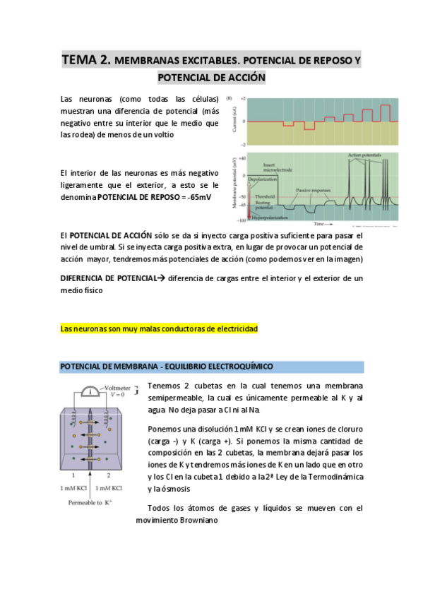 Miniatura del documento TEMA-2-membranas-excitables.pdf