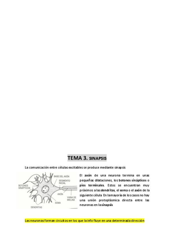 Miniatura del documento TEMA-3-sinapsis.pdf