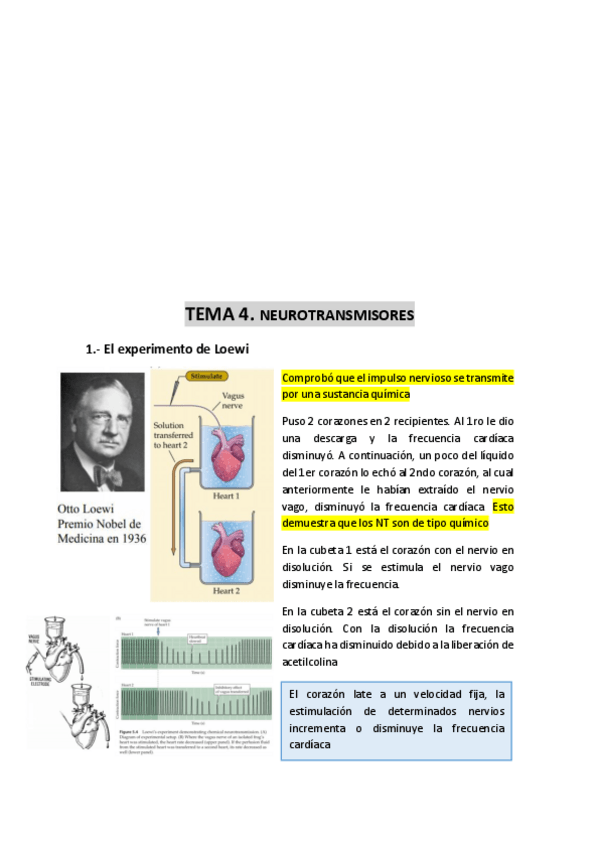 Miniatura del documento TEMA-4-neurotransmisores.pdf
