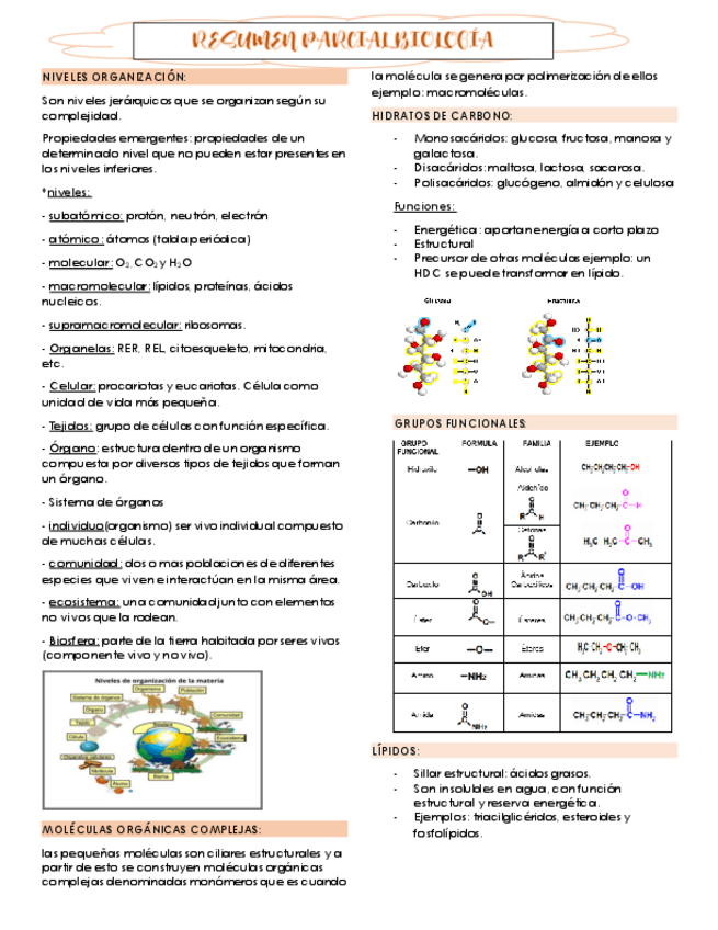 Miniatura del documento resumen-biologia-parcial.pdf