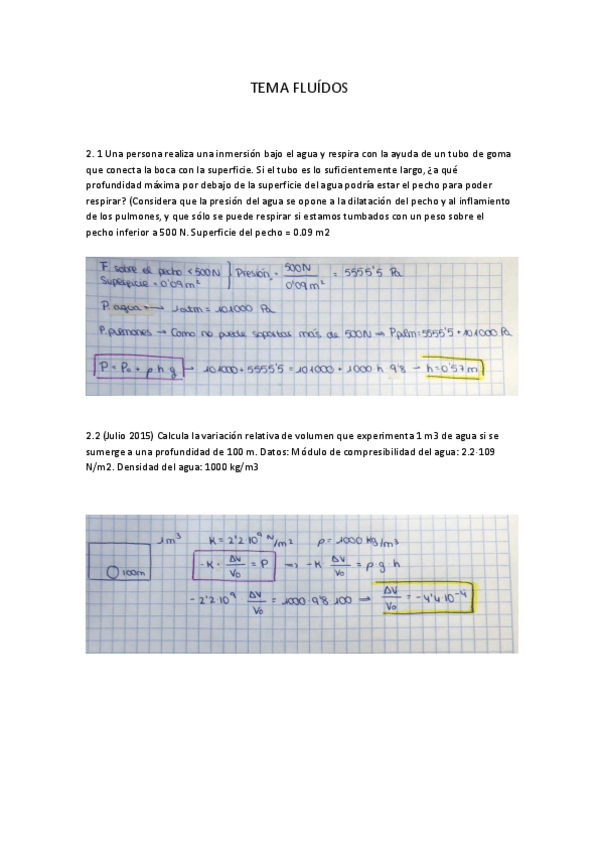 Miniatura del documento problemas-fluidos.pdf