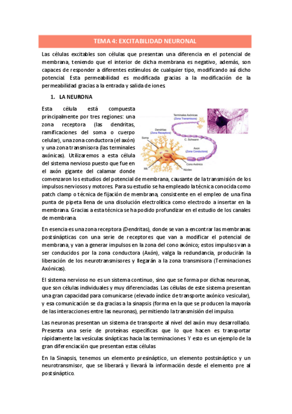 Miniatura del documento TEMA-4.pdf