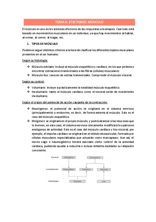 Miniatura del documento TEMA-6.pdf