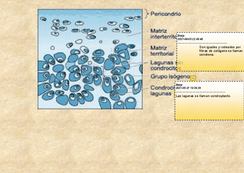 Miniatura del documento 5-imagenes-temas-11-a-13.pdf