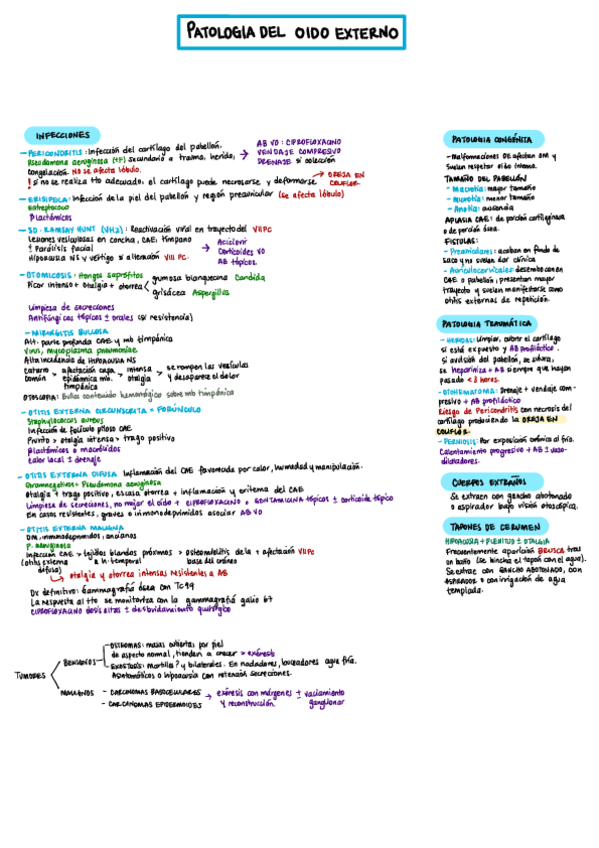 Miniatura del documento Patologia-oido-externo.pdf