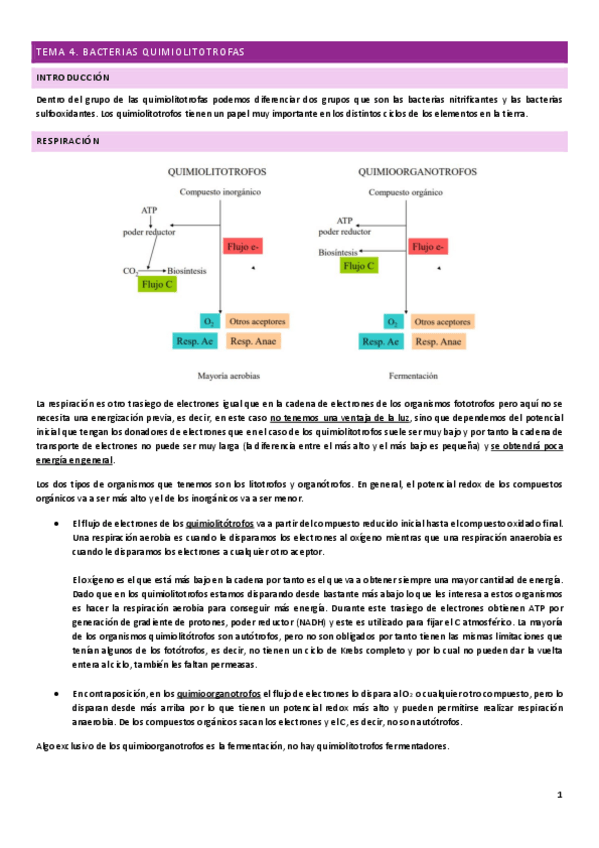 Miniatura del documento Tema-4.pdf