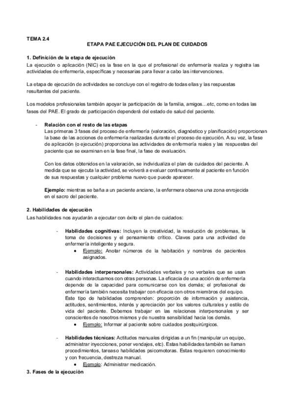 Miniatura del documento 2.4 Ejecución