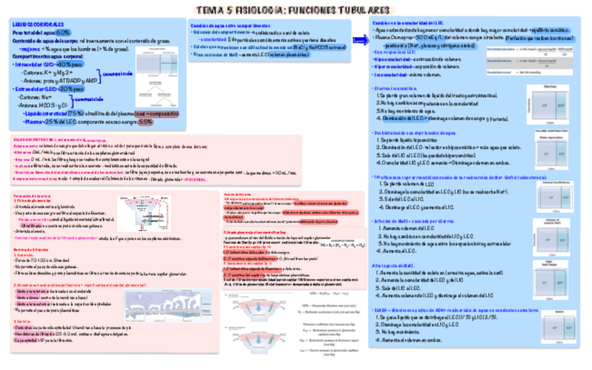 Miniatura del documento Fisiologia-II-tema-5.pdf