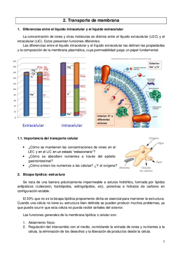 Miniatura del documento Fisiología General resumen tema 1.pdf
