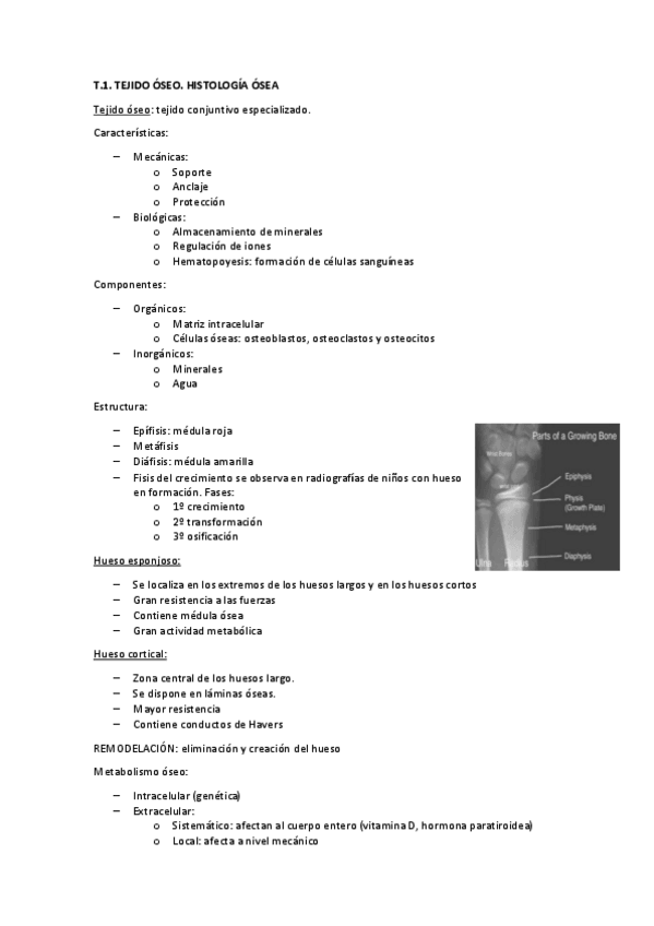 Miniatura del documento APUNTES-PAL-ENTERO.pdf