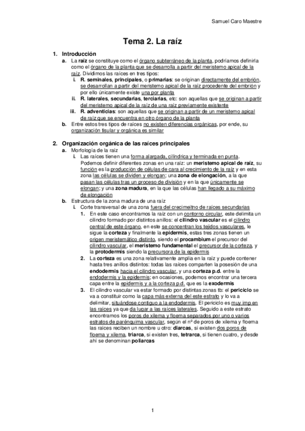 Miniatura del documento B.pdf