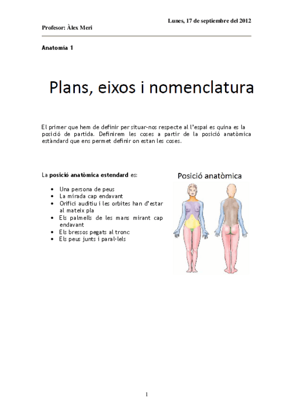 Miniatura del documento Anatomia 1 Plans i eixos.pdf