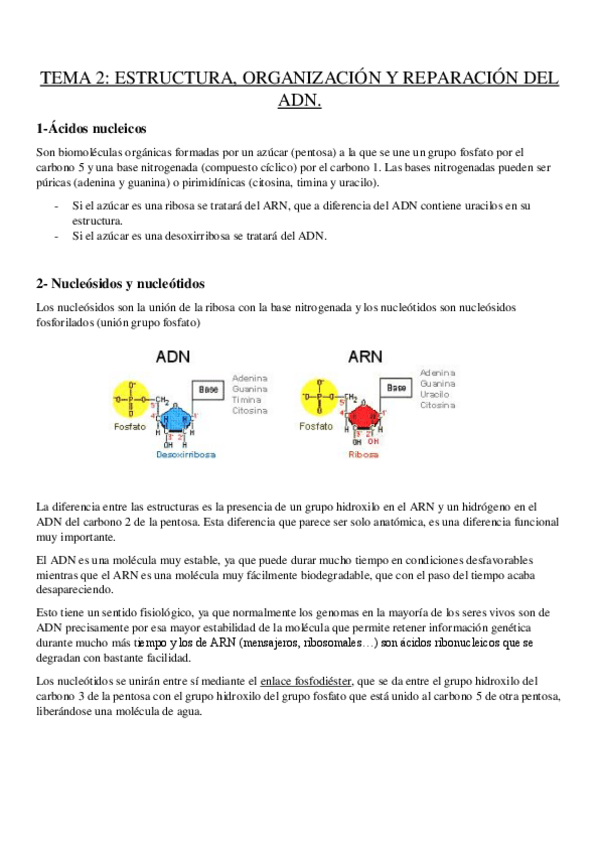 Miniatura del documento tema-2-genetica.pdf