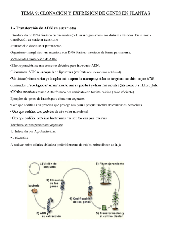 Miniatura del documento tema-9-genetica.pdf