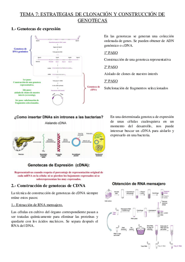 Miniatura del documento tema-7-genetica.pdf