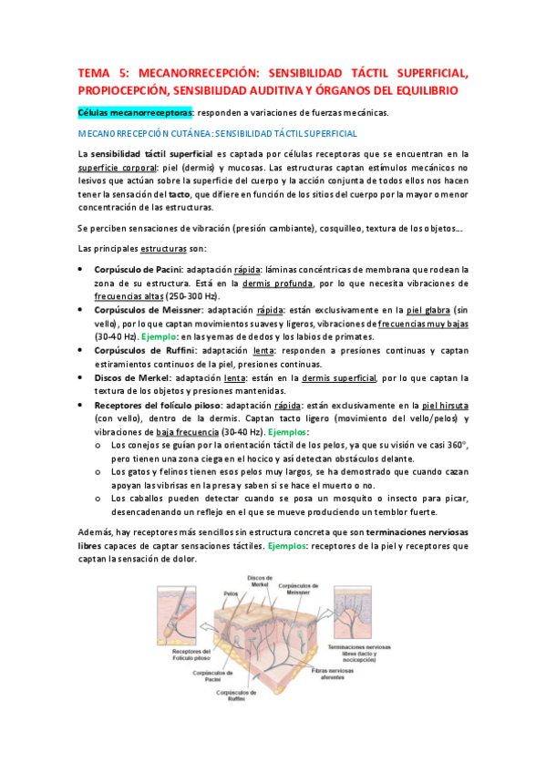 Miniatura del documento Tema-5.pdf