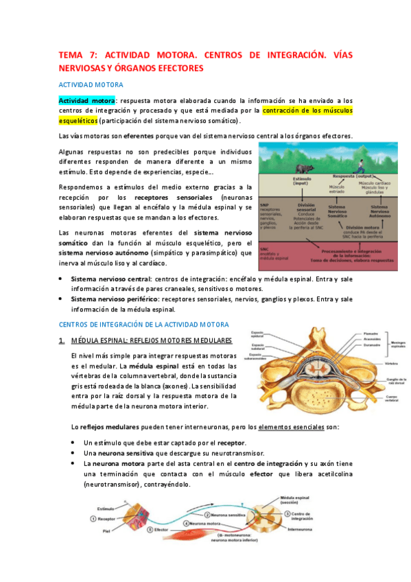 Miniatura del documento Tema-7.pdf