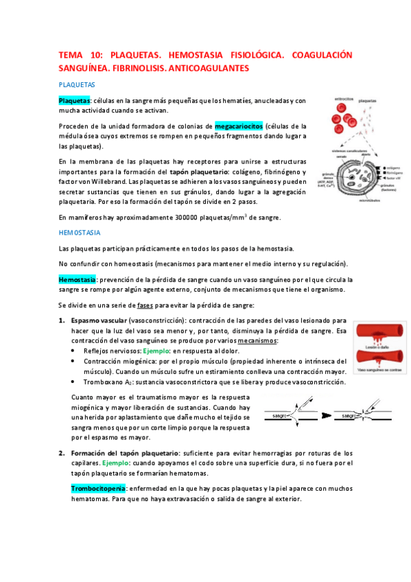 Miniatura del documento Tema-10.pdf