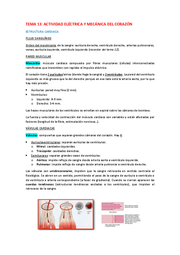 Miniatura del documento Tema-13.pdf