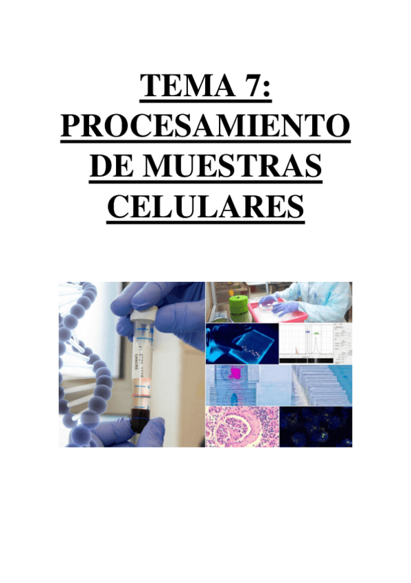 Miniatura del documento TEMA 7 - PROCESAMIENTO DE MUESTRAS CELULARES.pdf