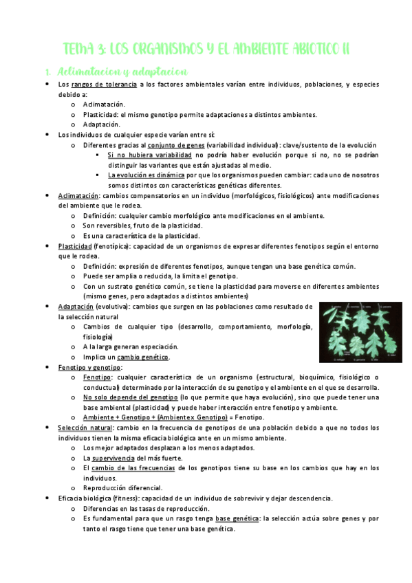 Miniatura del documento TEMA-3-LOS-ORGANISMOS-Y-EL-AMBIENTE-ABIOTICO-II.pdf