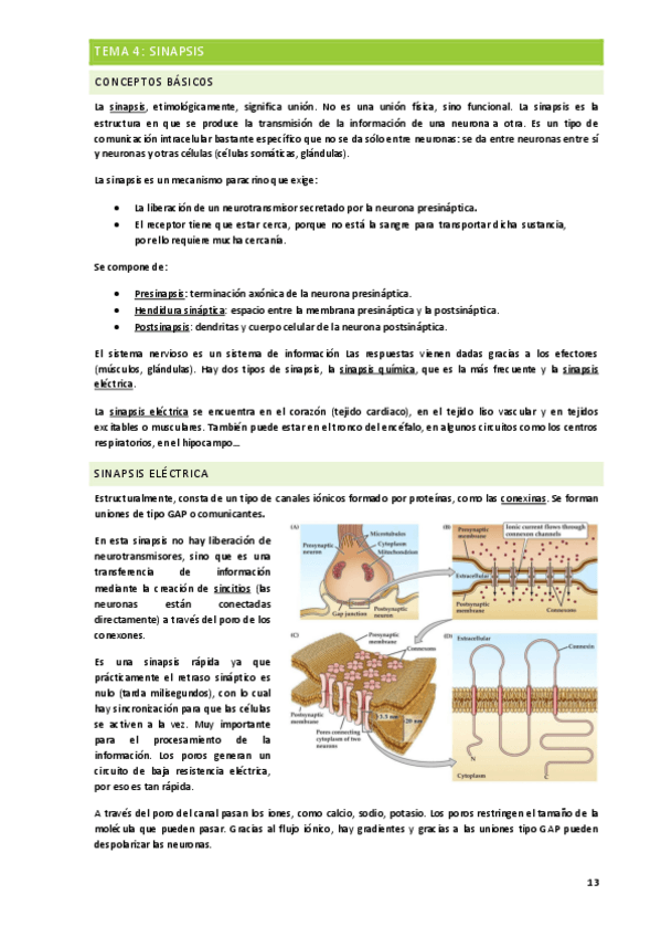 Miniatura del documento TEMA-4.pdf
