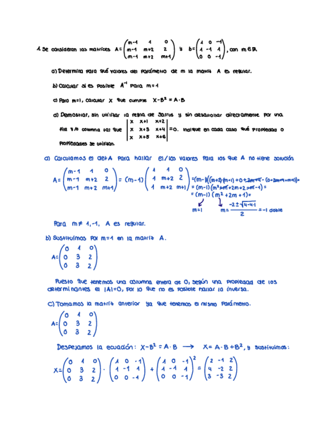 Miniatura del documento Examen-determinantes-y-matrices-1.pdf