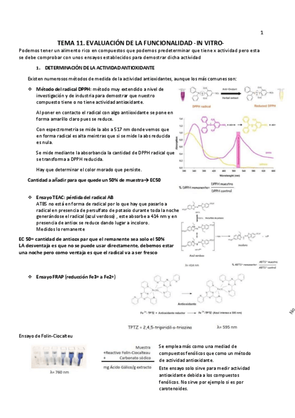 Miniatura del documento TEMA-11.pdf