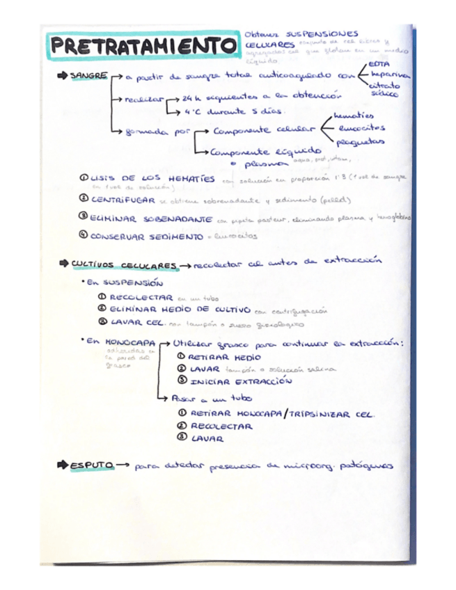 Miniatura del documento Extarccion-y-purificacion-de-acudos-nucleicos.pdf